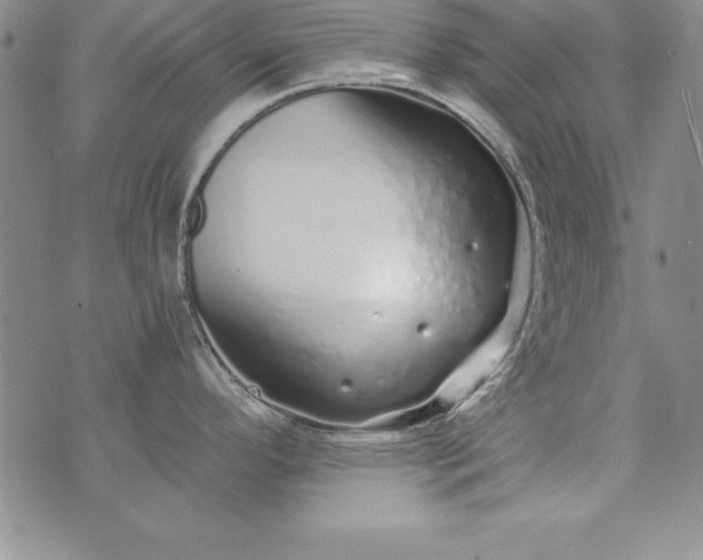 X0000076271296200610122246