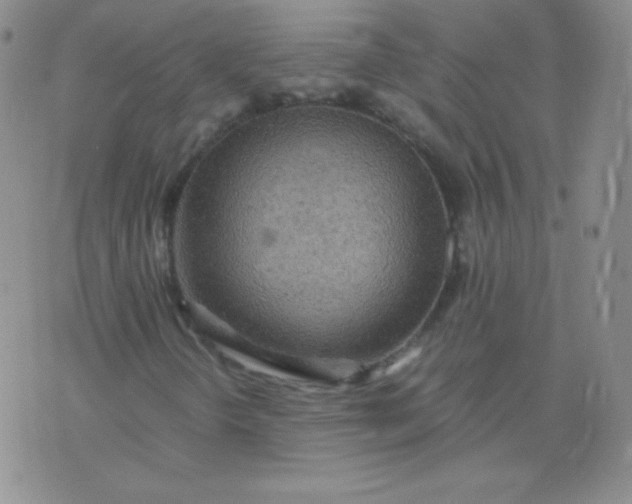 X0000076271298200610122245