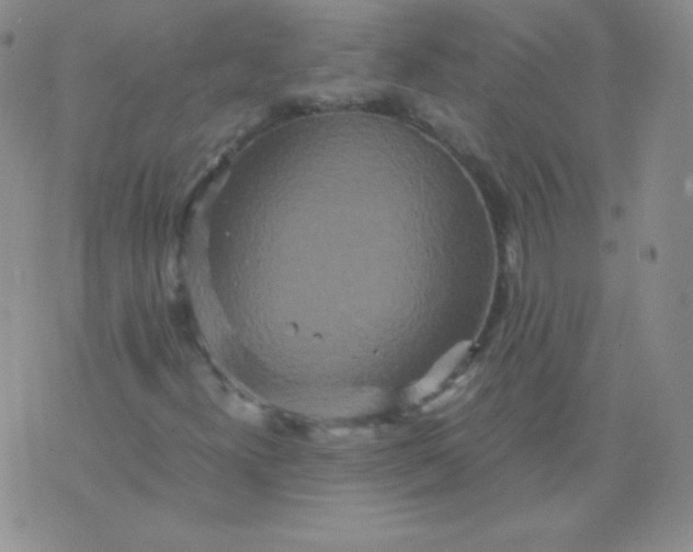 X0000076271300200610122245