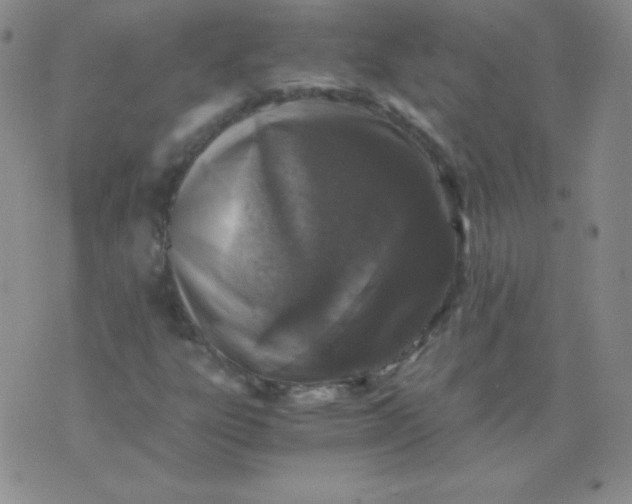 X0000076271303200610122245