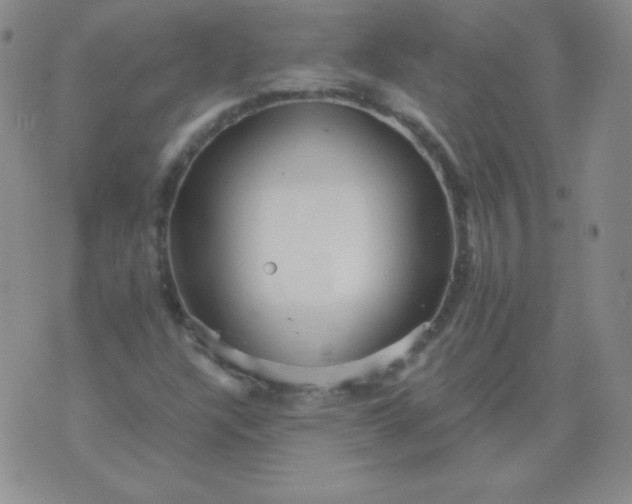 X0000076271304200610122245