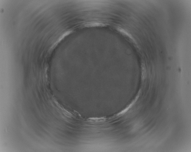 X0000076271305200610122245