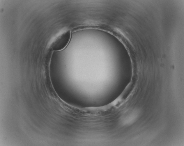 X0000076271307200610122245