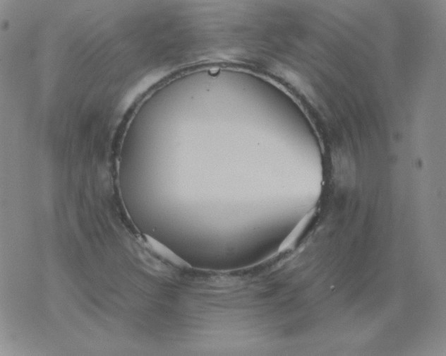 X0000076271308200610122245