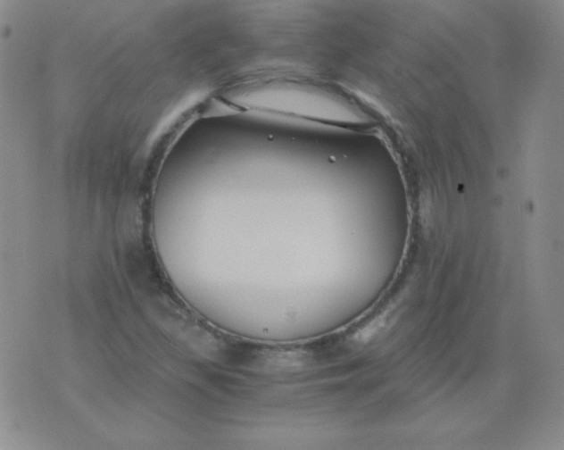 X0000076271309200610122245