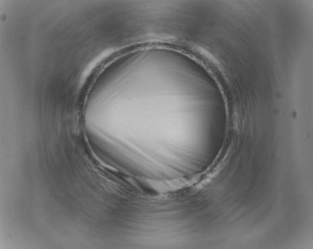 X0000076271310200610122245