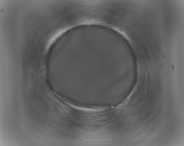 X0000076271311200610122245