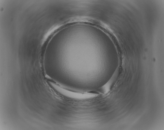 X0000076271312200610122245