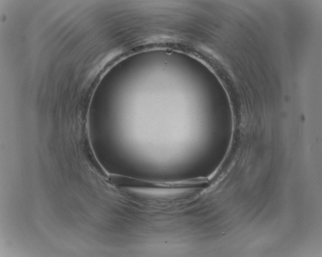 X0000076271313200610122245