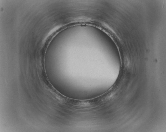 X0000076271315200610122245