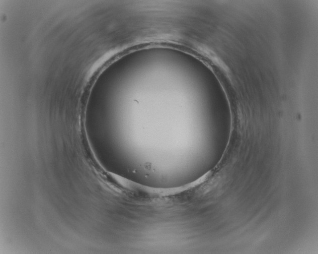 X0000076271316200610122245