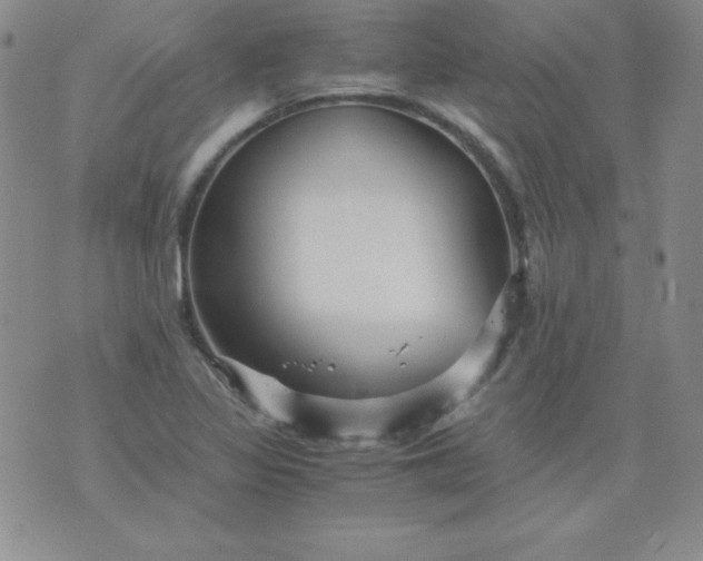 X0000076271317200610122245