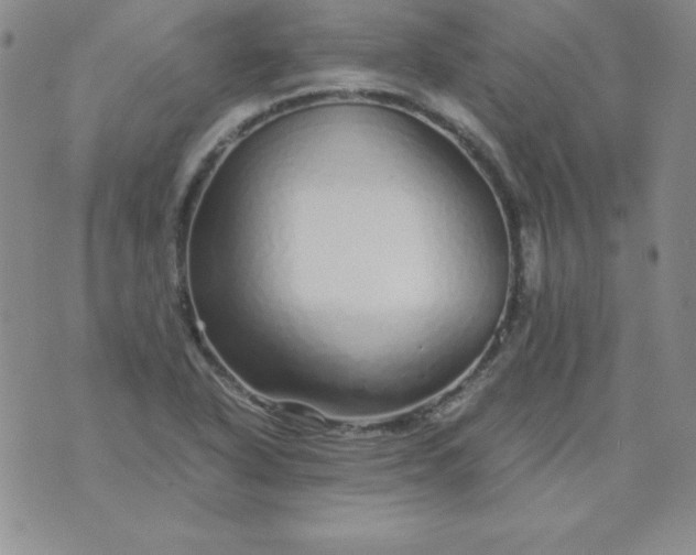 X0000076271318200610122245