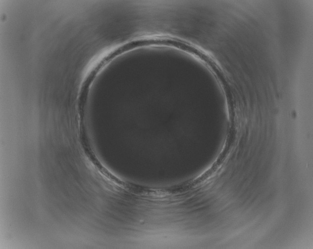 X0000076271319200610122245