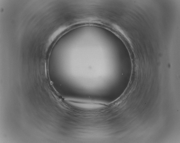 X0000076271320200610122245