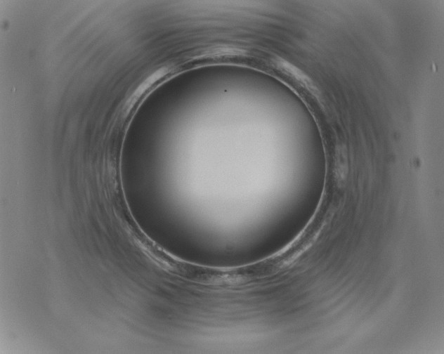 X0000076271321200610122245