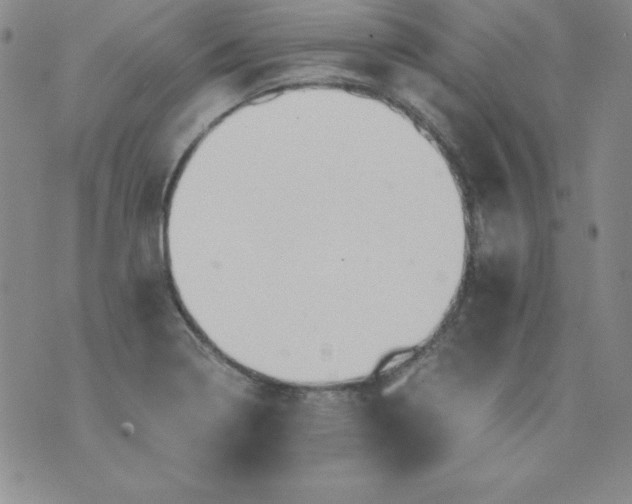 X0000076271322200610122245