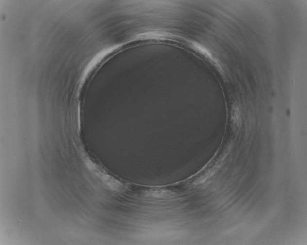 X0000076271323200610122245