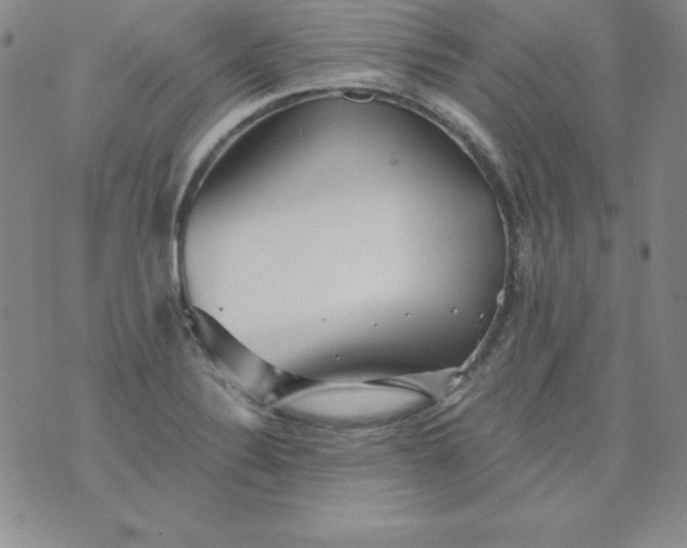 X0000076271324200610122245