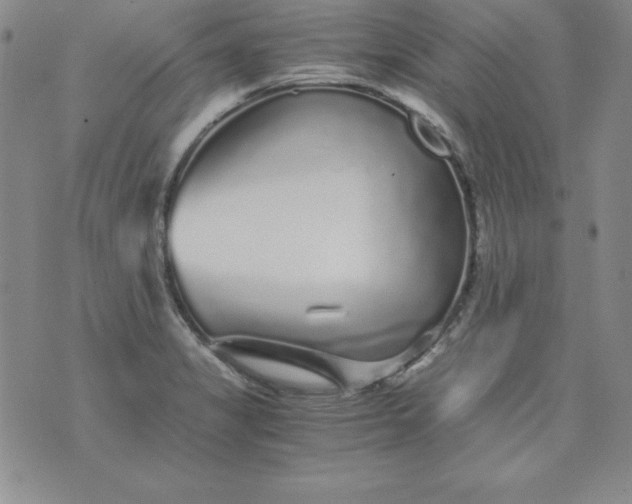 X0000076271325200610122245