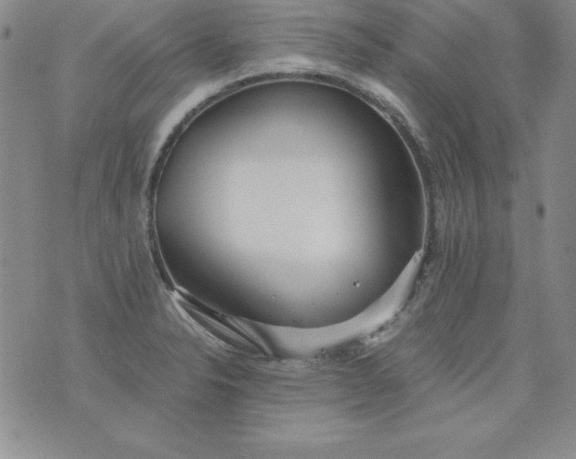 X0000076271326200610122245