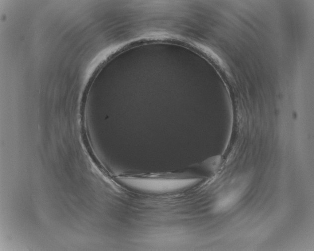 X0000076271327200610122245