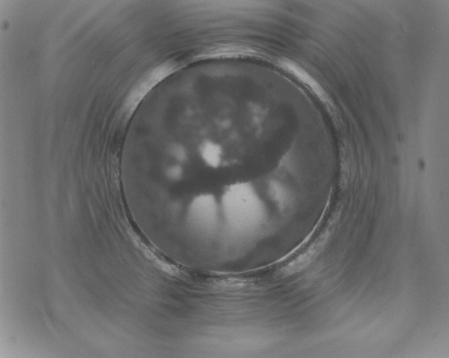 X0000076271329200610122245