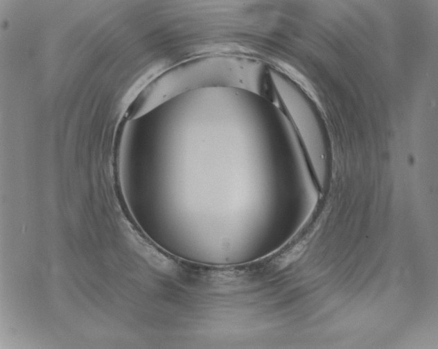 X0000076271330200610122245