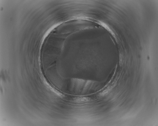 X0000076271331200610122245