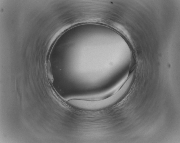 X0000076271332200610122245