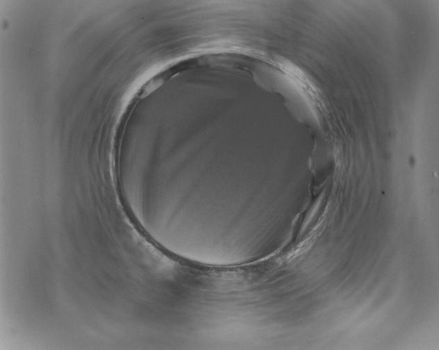 X0000076271334200610122245