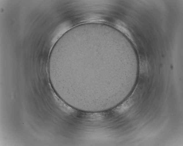 X0000076271338200610122245