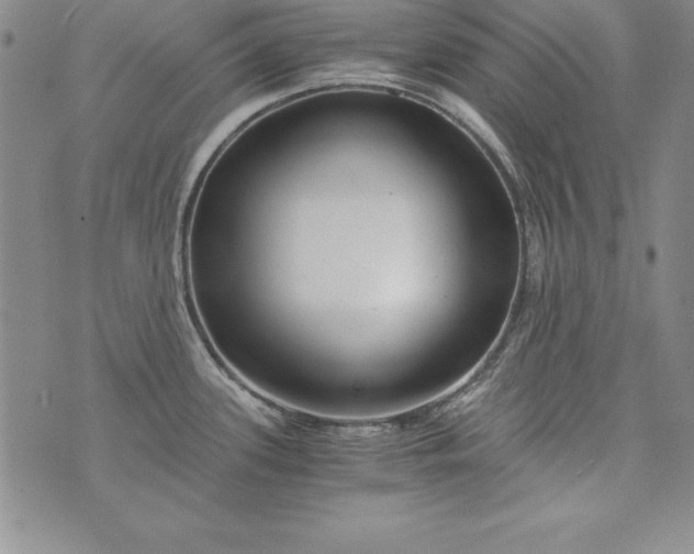 X0000076271339200610122245