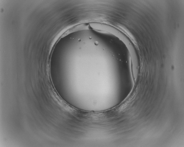 X0000076271340200610122246