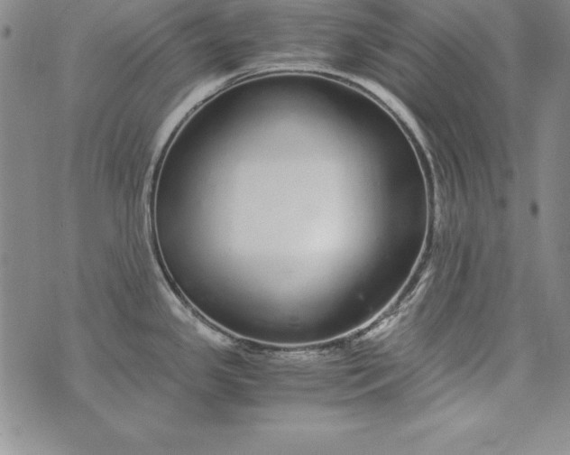 X0000076271341200610122246