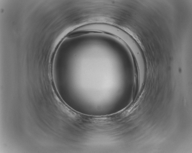 X0000076271342200610122246