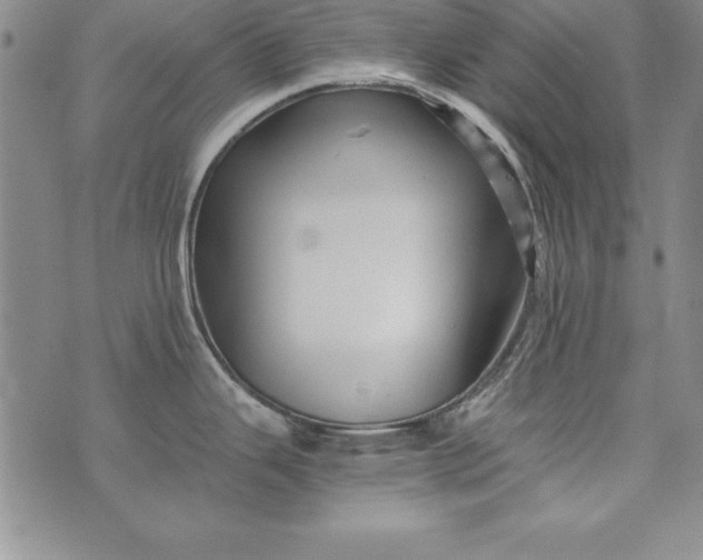 X0000076271343200610122246