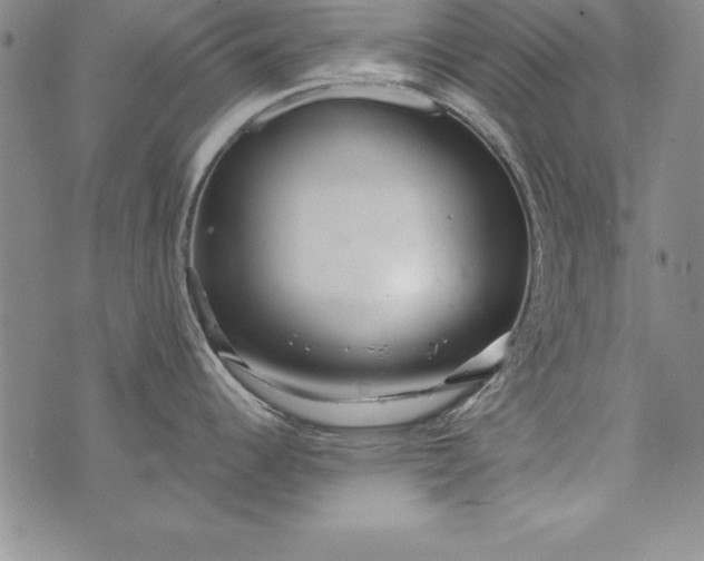 X0000076271344200610122246