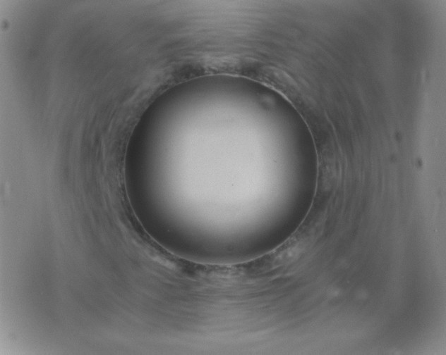 X0000076271345200610122245