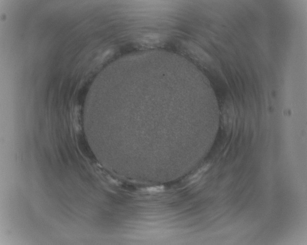 X0000076271346200610122245