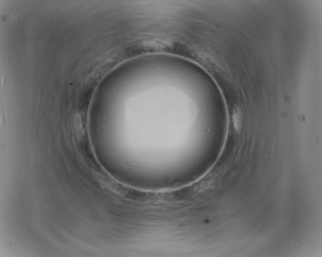 X0000076271347200610122245