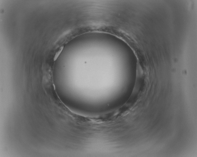 X0000076271349200610122245