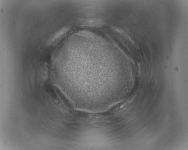 X0000076271350200610122245