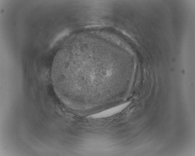 X0000076271351200610122245