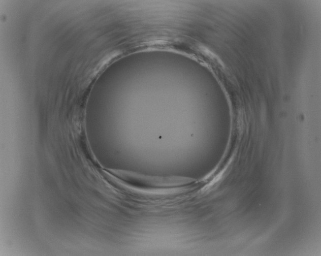 X0000076271353200610122245