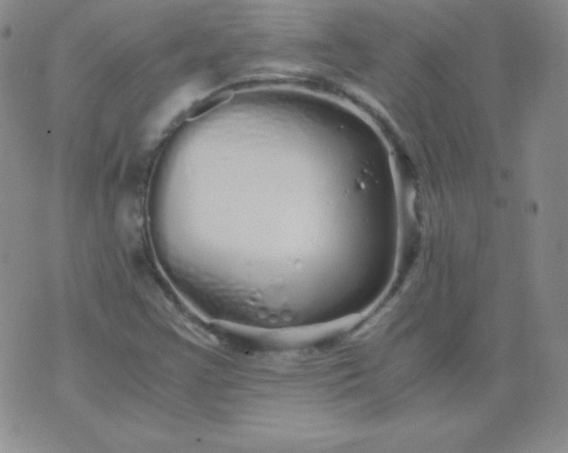 X0000076271355200610122245