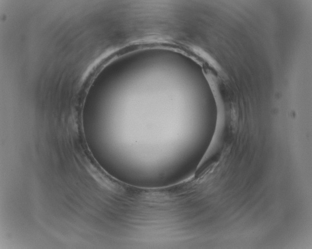 X0000076271356200610122245