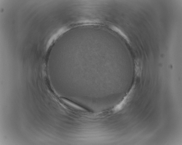 X0000076271357200610122245