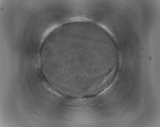 X0000076271358200610122245