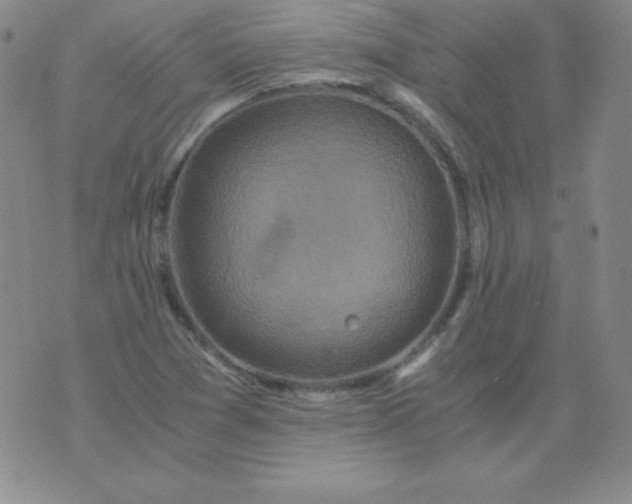 X0000076271361200610122245